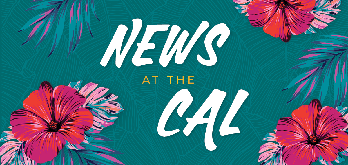 news at the cal image